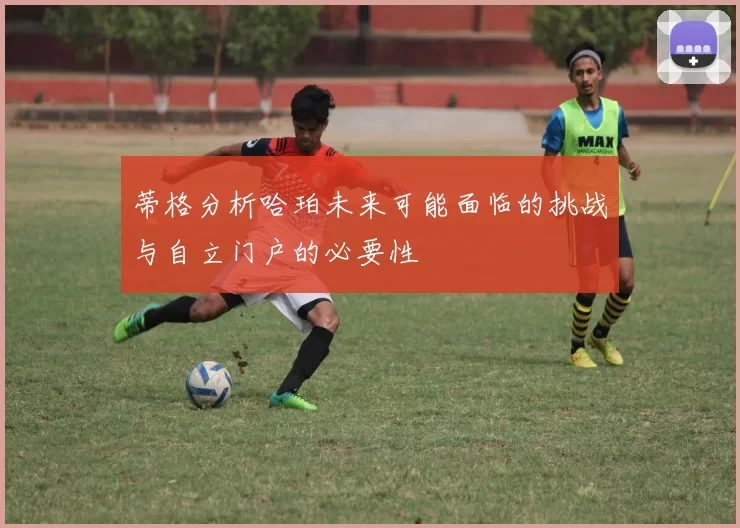 蒂格分析哈珀未来可能面临的挑战与自立门户的必要性