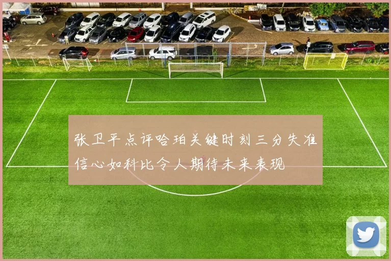 张卫平点评哈珀关键时刻三分失准信心如科比令人期待未来表现